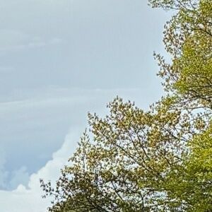 Meet your Posher, Haadi